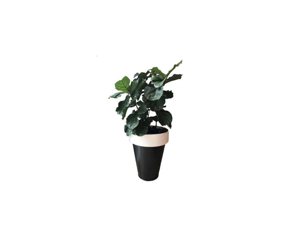 De Castelli, Floor Sample Omega 90 Outdoor Planter