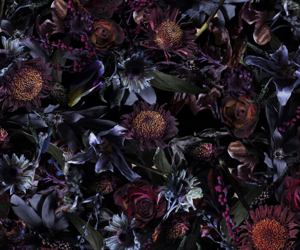 Moooi, Fool’s Paradise Broadloom