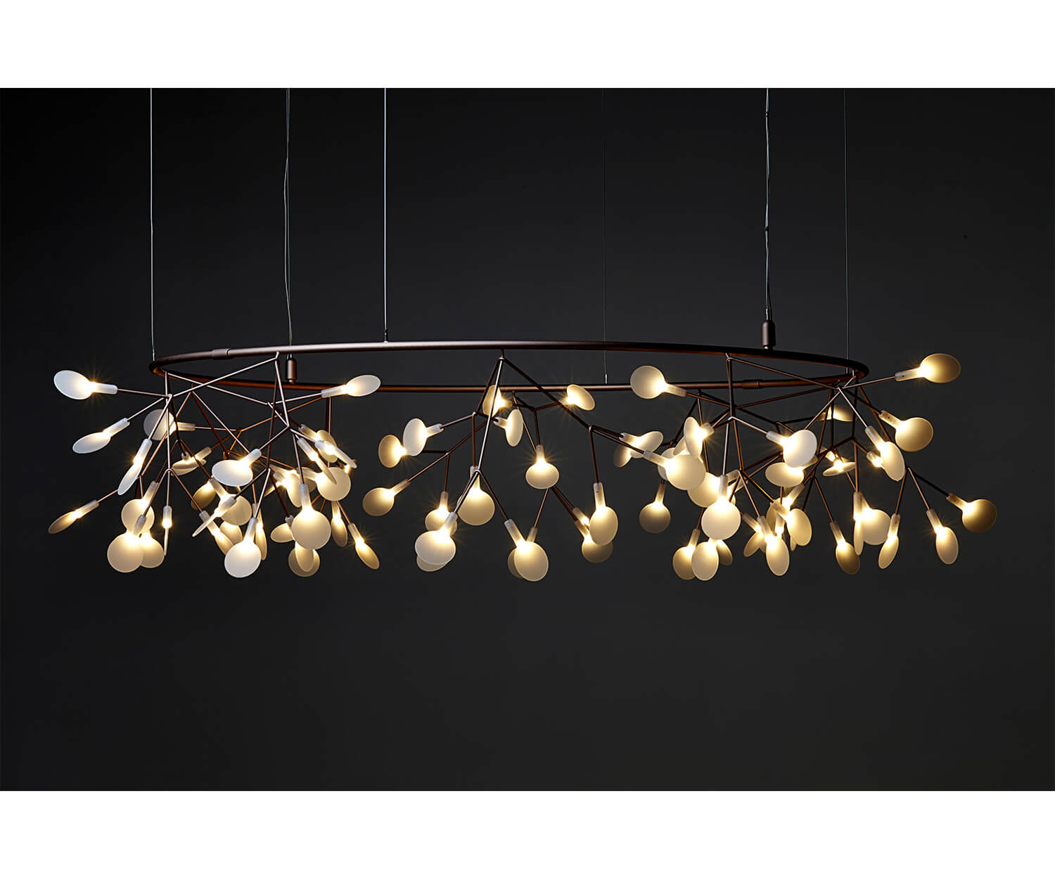 Moooi, Heracleum Small Big O Suspension